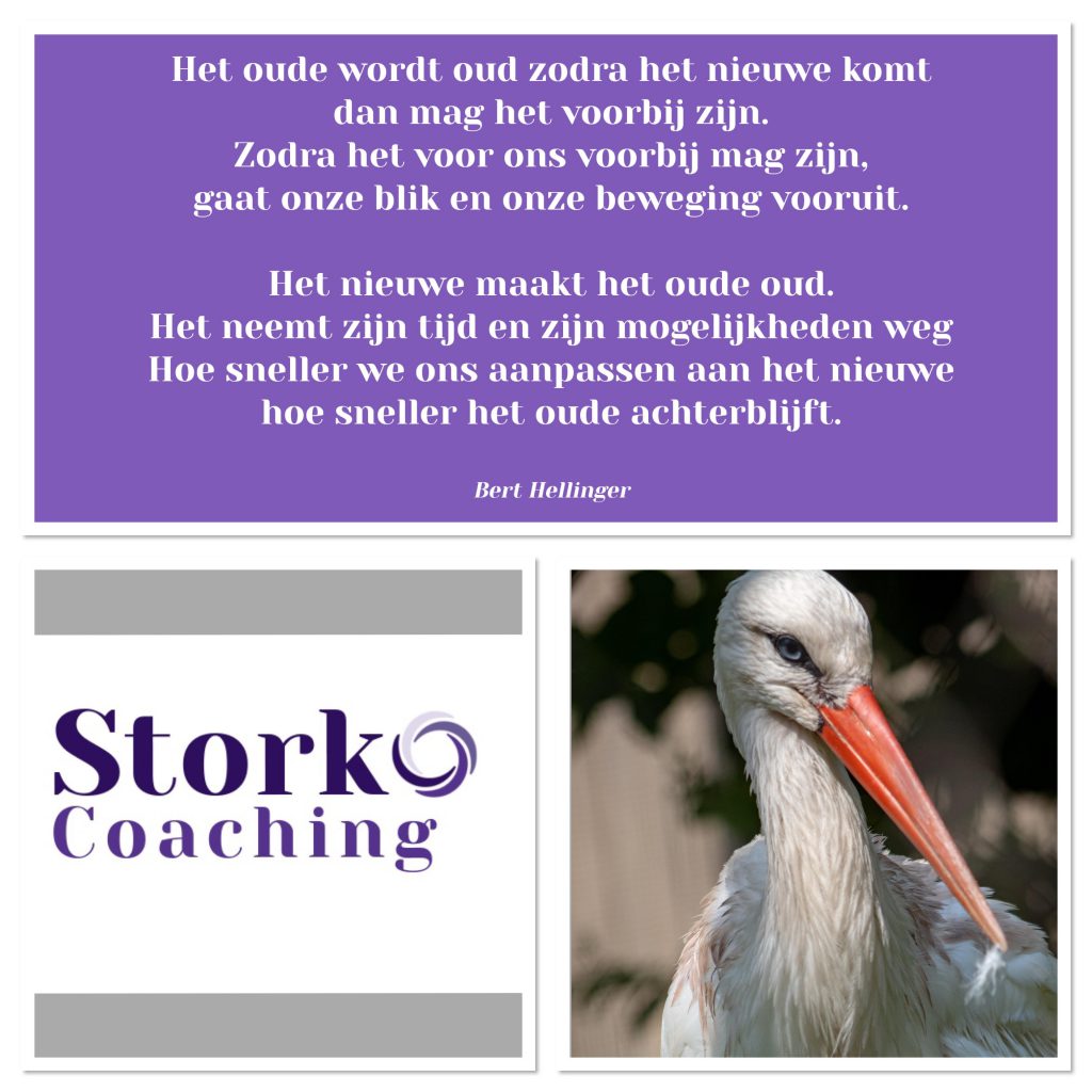 Stork Coaching 2020